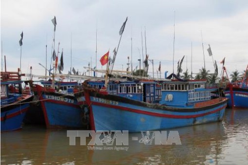 Các tỉnh, thành phố ven biển chủ động ứng phó với vùng áp thấp