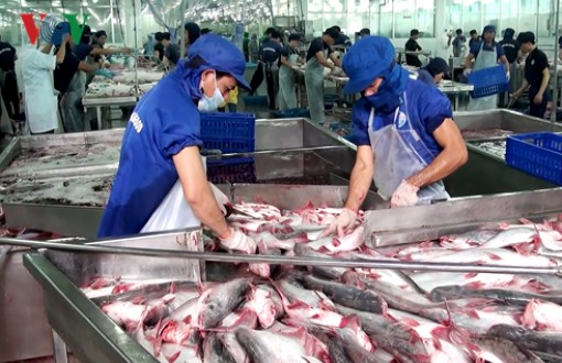 Kinh tế khu vực Đồng bằng sông Cửu Long có nhiều khởi sắc