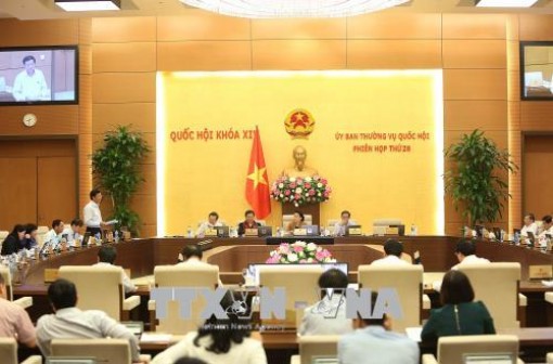 Rà soát, không để phát sinh giấy phép con trong dự án Luật Trồng trọt