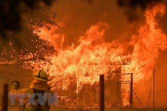 Cháy rừng đe dọa hàng nghìn gia đình tại thành phố Los Angeles