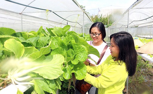 Khám phá Cần Thơ Farm