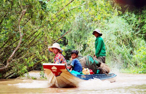 Mùa nước nổi ở miền Tây: Nước lên nhanh… nhưng cá chưa về (!)