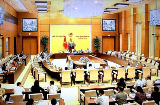 Để chăn nuôi thực sự trở thành ngành kinh tế mũi nhọn