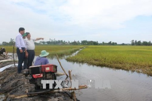 Nước đầu nguồn sông Cửu Long tiếp tục lên, nguy cơ ngập úng vùng trũng thấp