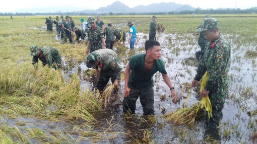 Chủ động phòng, chống thiên tai mùa mưa bão
