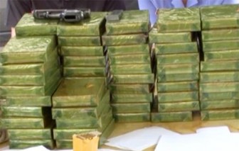 Người phụ nữ giấu 22 bánh heroin trong hàng hóa từ Lào về Việt Nam