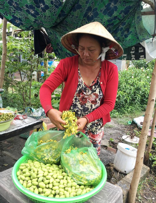 Bông điên điển đầu mùa hút hàng