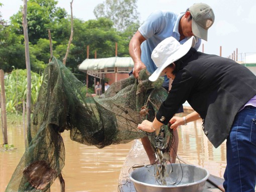 Chung tay tái tạo nguồn lợi thủy sản