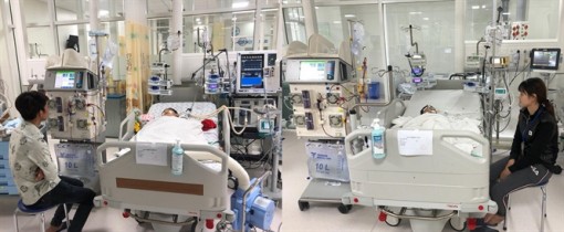Bị ong vò vẽ đốt 100 nốt, hai anh em hôn mê, suy đa cơ quan