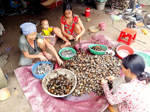 Người dân mong chờ lũ “ngọt”