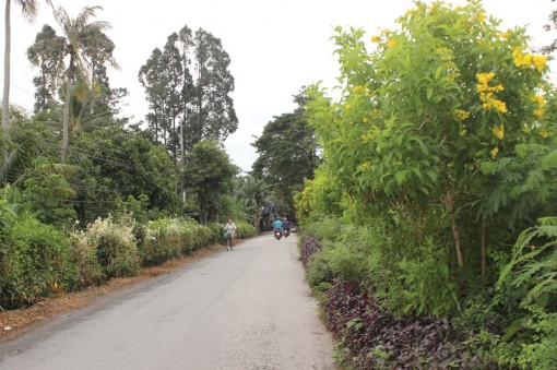 Nét đẹp quê hương Bác Tôn