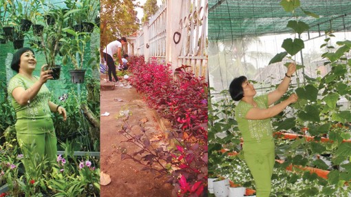 Phụ nữ đảm đang