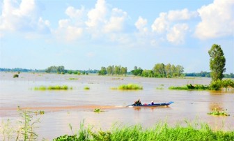 Mưa giông giảm, nước lũ cao hơn 1m so cùng kỳ