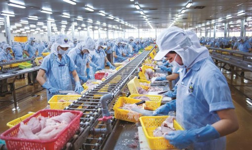 Cơ hội mới cho cá tra