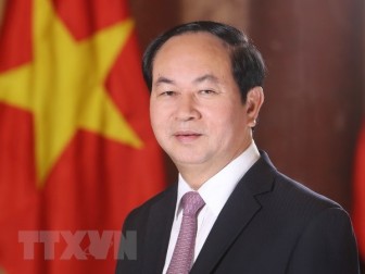 Chủ tịch nước Trần Đại Quang trả lời phỏng vấn báo chí Ai Cập