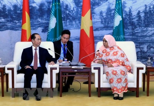 Chủ tịch nước hội kiến Quyền Chủ tịch Ủy ban Liên minh châu Phi