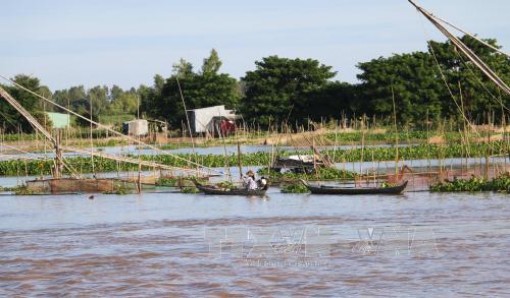 Các tỉnh, thành phố khu vực Đồng bằng sông Cửu Long chủ động ứng phó với lũ lớn