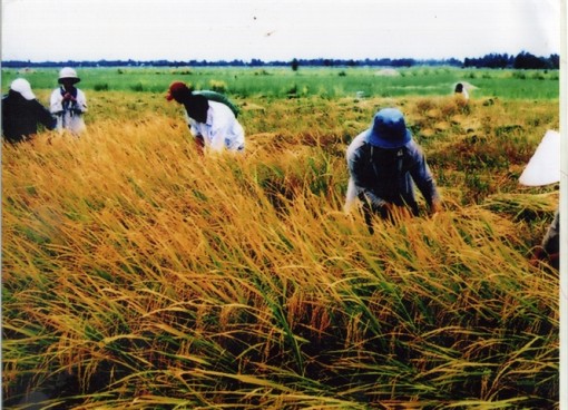 Đồng Tháp: Mô hình cộng đồng dân cư quản lý xây dựng NTM
