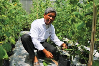 Châu Đốc phát triển nông nghiệp ứng dụng công nghệ cao
