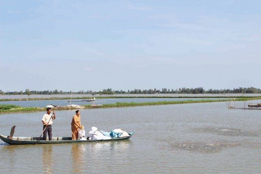 Ngư dân và doanh nghiệp sản xuất cá tra đã lấy lại “sức dốc”