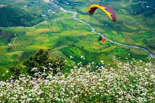 Ngắm ruộng bậc thang Mù Cang Chải mùa lúa chín từ trên... trời