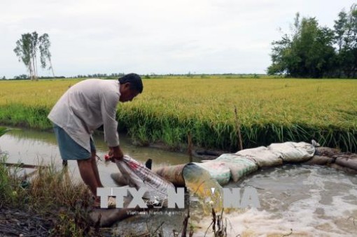Thủ tướng chỉ đạo ứng phó lũ lớn ở Đồng bằng sông Cửu Long