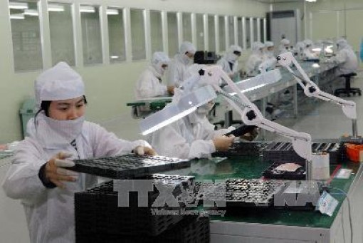 Kim ngạch xuất khẩu hàng hóa 8 tháng đầu năm tăng 14,5%