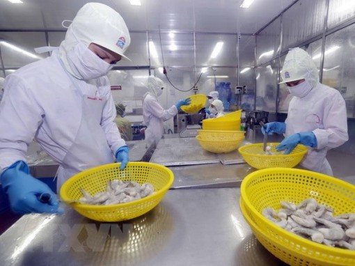 Tổng thu ngân sách ĐBSCL giai đoạn 2016-2018 đóng góp 18% GDP cả nước