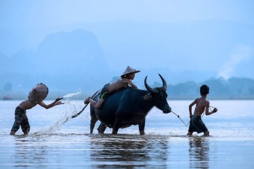 Hai nhiếp ảnh gia mang ‘Sắc màu Việt Nam’ tới Áo và Hy Lạp