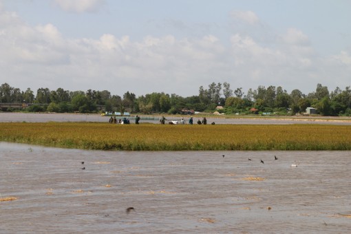 Ứng phó lũ lên nhanh