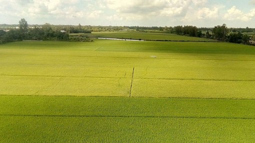 An Giang tăng tốc phát triển kinh tế