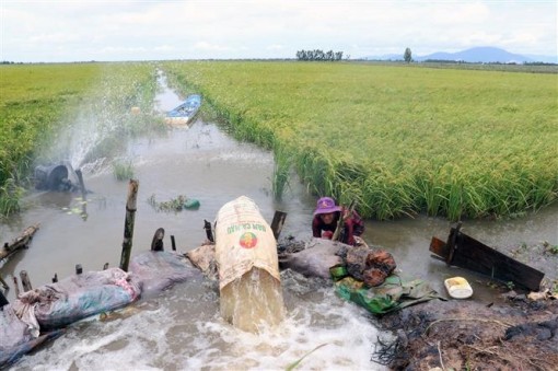 Kiên Giang ứng phó với lũ đang lên nhanh