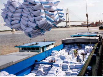 Sản xuất gạo chất lượng cao để hướng đến xuất khẩu 'cái thị trường cần'