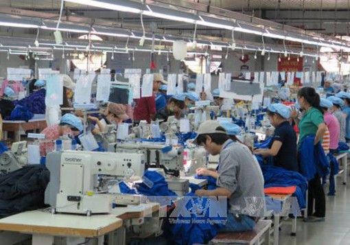 Nhiều lao động bị ảnh hưởng quyền lợi khi doanh nghiệp trốn đóng BHXH
