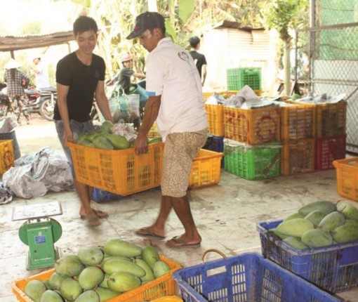 Tháo điểm nghẽn xây dựng nông thôn mới gắn tái cơ cấu ngành nông nghiệp