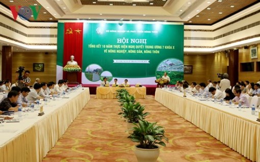 Thu hút đầu tư vào nông nghiệp tăng gần 3 lần sau 10 năm