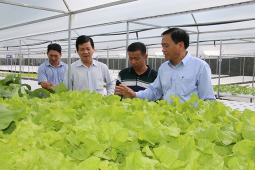 Đồng Tháp nỗ lực xây dựng chính quyền đồng hành cùng doanh nghiệp