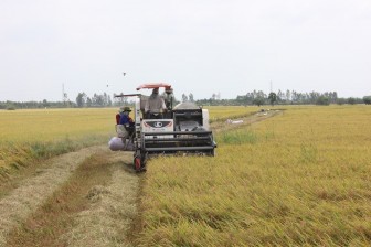 Châu Phú thực hiện “Tam nông”