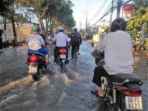 Vĩnh Long: Triều cường đầu tháng 8 âl, nhiều tuyến đường ngập sâu
