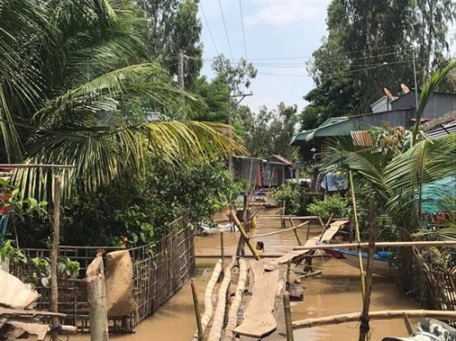 Nước lũ trên sông Cửu Long “tạm xuống” rồi lại lên cao