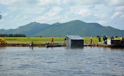 An Giang: Hàng ngàn hécta lúa ở huyện Tri Tôn bị lũ đe dọa