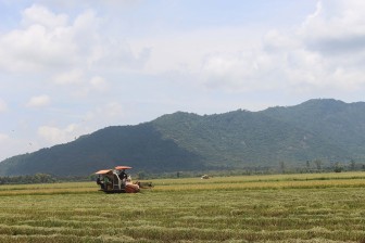 Nâng cao hiệu quả sản xuất lúa
