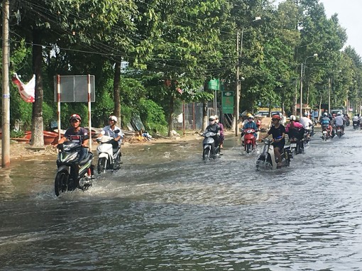 Đối phó với triều cường ở Long Xuyên