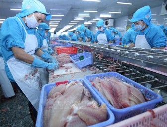 Hoa Kỳ giảm thuế chống bán phá giá cá tra và basa của Việt Nam