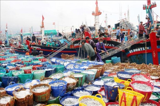 Phát triển ngành thủy sản Việt Nam theo xu hướng tiêu dùng của thế giới