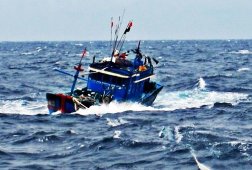 Tránh bão, 8 cán bộ Viện Hải dương học mắc kẹt ở vùng nước xoáy