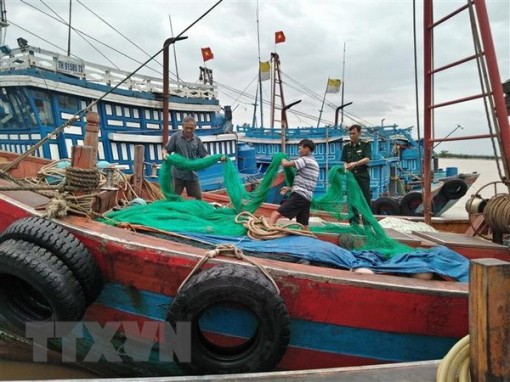 Các tỉnh, thành Bắc bộ từ Nghệ An trở ra chủ động ứng phó với bão số 6