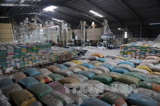Myanmar đoạt giải nhất cuộc thi khởi nghiệp toàn cầu nhờ công nghệ sấy gạo của Việt Nam