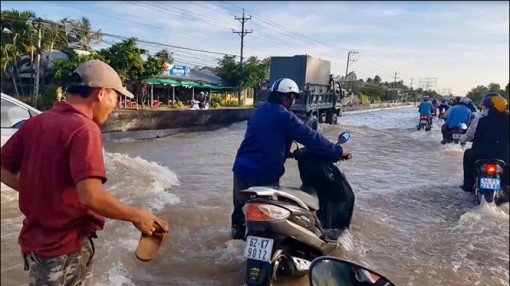 ĐBSCL đón lũ ‘đẹp’: Nhà ngập trước, ruộng ngập sau