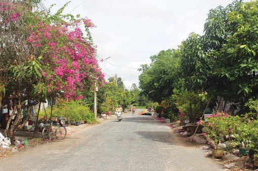 Cụm, tuyến dân cư phát huy hiệu quả mùa lũ